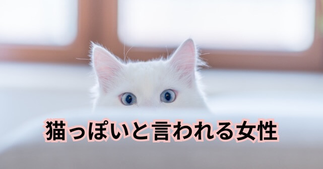 猫っぽいと言われる女性の記事のアイキャッチ画像