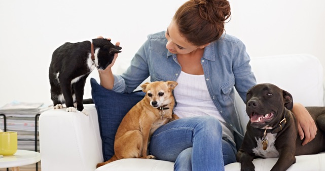 ソファーの上で犬や猫とくつろぐ女性