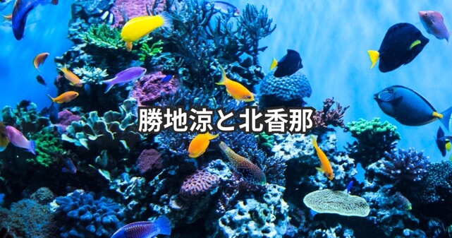 勝地涼と北香那の交際発覚！共演から馴れ初めを徹底調査！